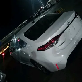 Toyota Corolla 2024