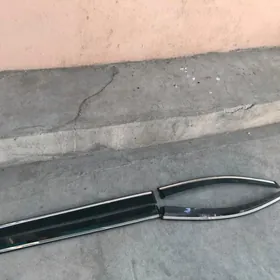 sieena kaziryok nikili