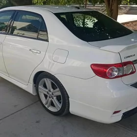 каролла диска