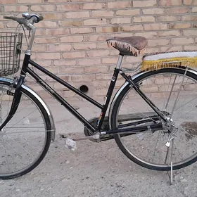 Amatly bahadan 27lik welsipet