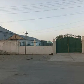ANEW MAGTYMGULYDA