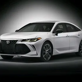 Avalon Nikel Bezegler