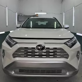 Toyota RAV4 2024