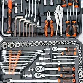 Taze nabor acar Kingqueen 142