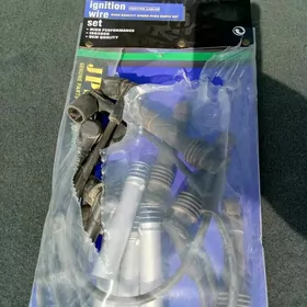 sweca prawada 2 lik prastoy