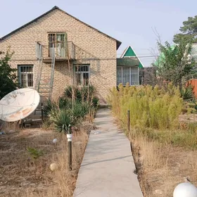 SAGLYK DACA   satlyk jay