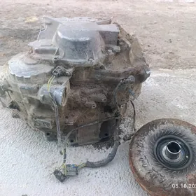 Wektyra B aftamat karopka