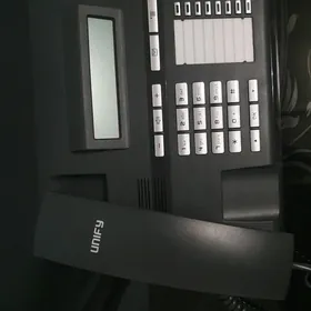 Unify(Цифровой) domaşny