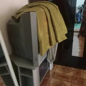 telewizor