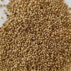 Gus imleri kunjuleri