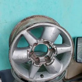 Dısga patfilindyr yn 4sanybar