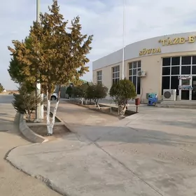 moýka işgär gerek