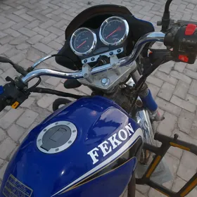 Fekon FK150-8G 2025