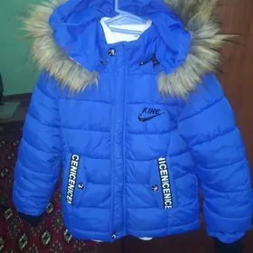 kurtga tazeje
