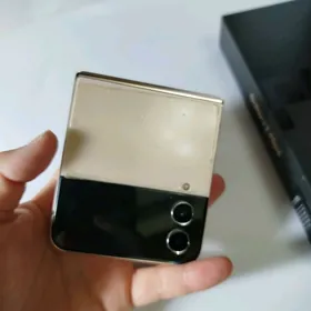 Zflip4