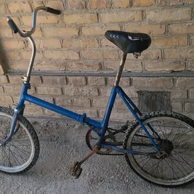 kama welsopet welik welsepet