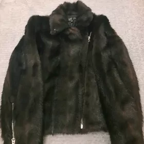 Şuba