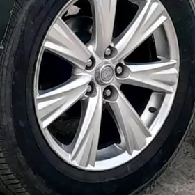 Disga pakeişka goyder