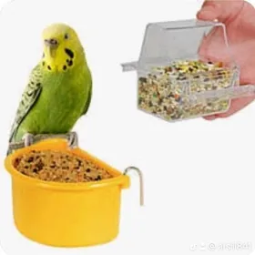 попугай гушлар сетклар