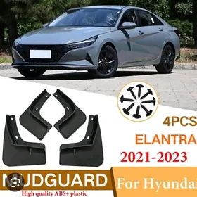 ELANTRA BRAZGAWIK 21 23