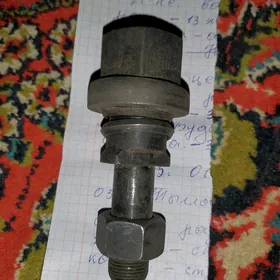 zil donuzkelle spilka