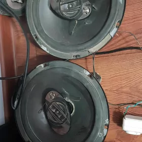 pioneer garpyz kalonka gapy misalka kalonka