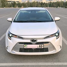 Toyota Corolla 2024