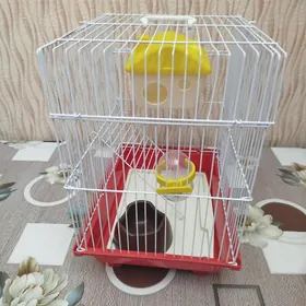 Клетка