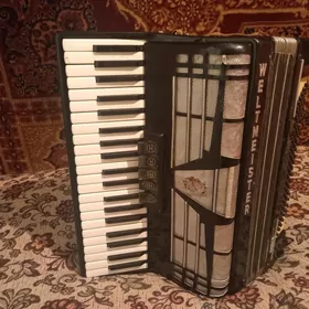 Akkordeon/ Аккордеон