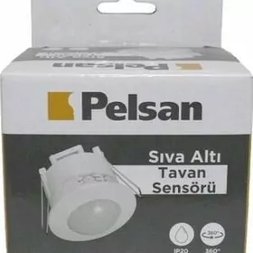 Pelsan hereket datcik