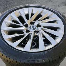 leksus diska ARGINAL