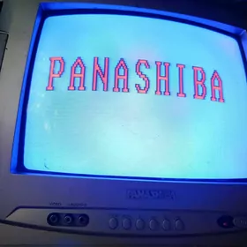 телевизор PANASHIBA