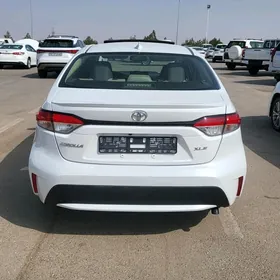 Toyota Corolla 2019