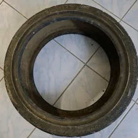 Teker celera alpha