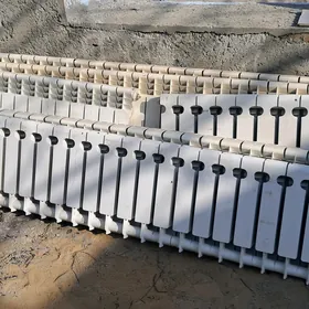 Atapleniýa batareý