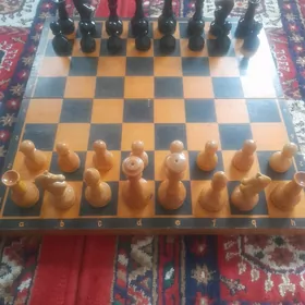 Шахматы СССР