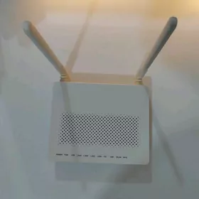 Router gpon