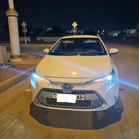Toyota Corolla 2021