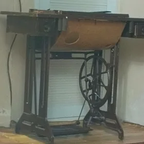 dikinn masynyn ayagy