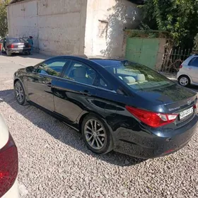 Hyundai Sonata 2010