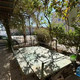 Tapjan/ тархан