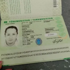 загран паспорт