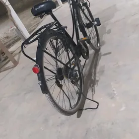 WELSEPET TIGIR 🦾🦾🦾