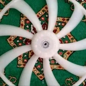 Aziýada Kamri Wentilýator.