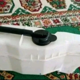 Kamri raşiritel baçok Aziýada.