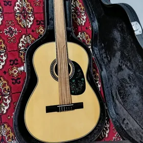 TAYSTE KLASSIK GITARA