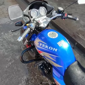 Fekon FK150-8G 2024
