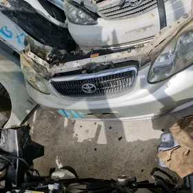 Corolla 01 07 amerkanka morda