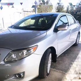 Toyota Corolla 2010