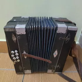 гармошка